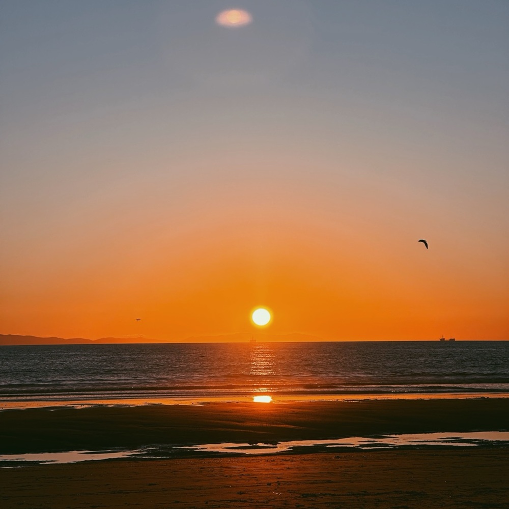 Meet your Posher, Quincey